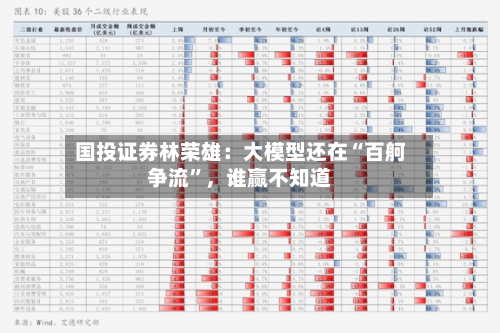 国投证券林荣雄：大模型还在“百舸争流”，谁赢不知道