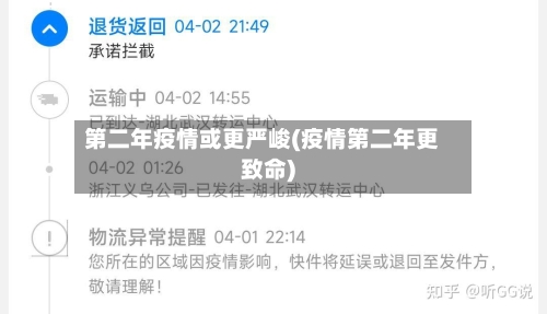 第二年疫情或更严峻(疫情第二年更致命)-第2张图片