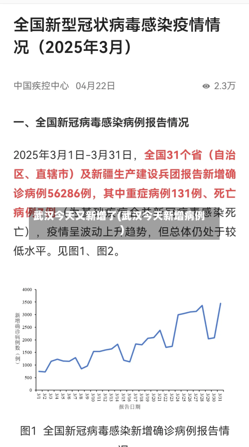 武汉今天又新增了(武汉今天新增病例)-第2张图片