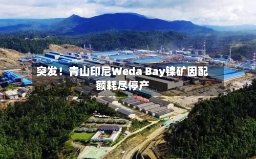 突发！青山印尼Weda Bay镍矿因配额耗尽停产-第2张图片