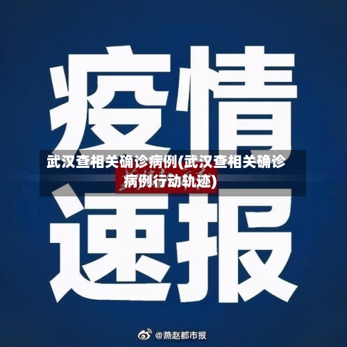 武汉查相关确诊病例(武汉查相关确诊病例行动轨迹)