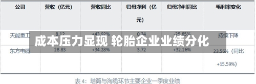 成本压力显现 轮胎企业业绩分化