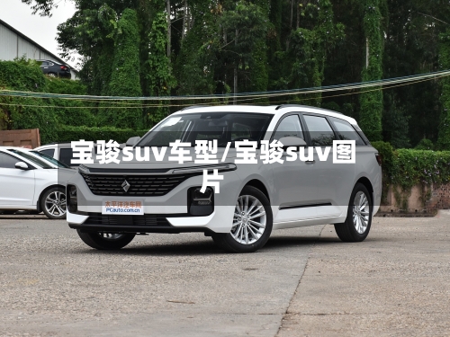 宝骏suv车型/宝骏suv图片
