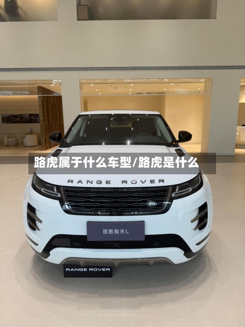 路虎属于什么车型/路虎是什么