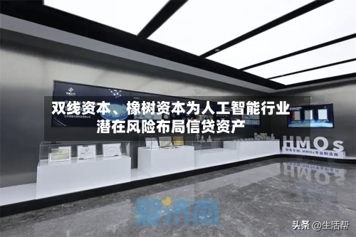 双线资本、橡树资本为人工智能行业潜在风险布局信贷资产-第2张图片