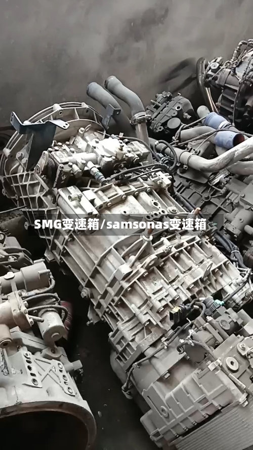 SMG变速箱/samsonas变速箱