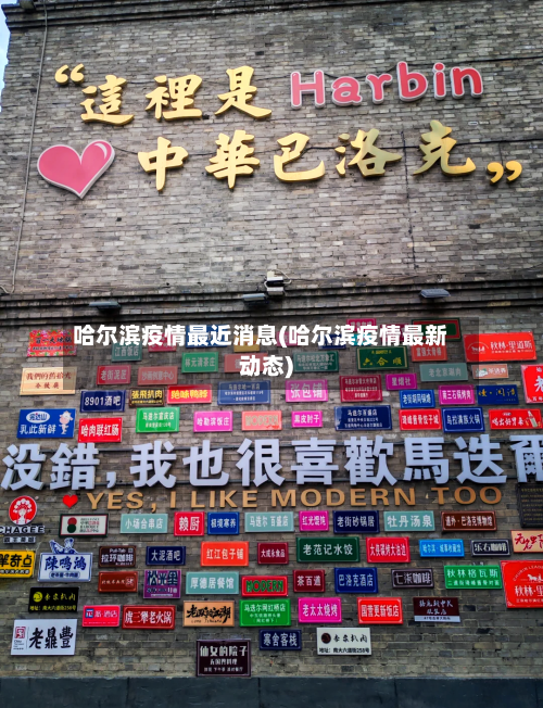 哈尔滨疫情最近消息(哈尔滨疫情最新动态)-第2张图片