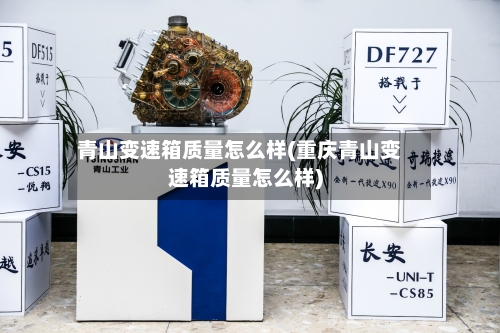 青山变速箱质量怎么样(重庆青山变速箱质量怎么样)-第2张图片