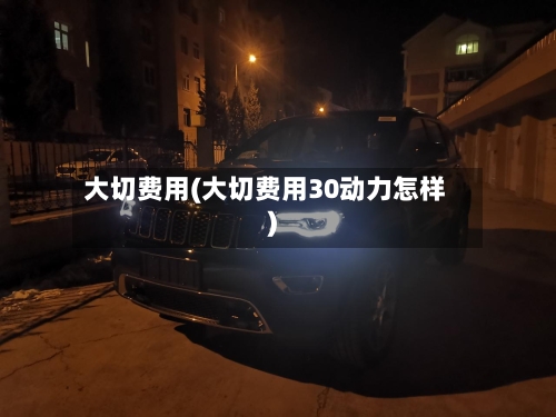 大切费用(大切费用30动力怎样)-第2张图片