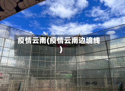 疫情云南(疫情云南边境线)