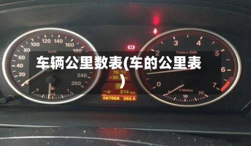车辆公里数表(车的公里表)-第2张图片
