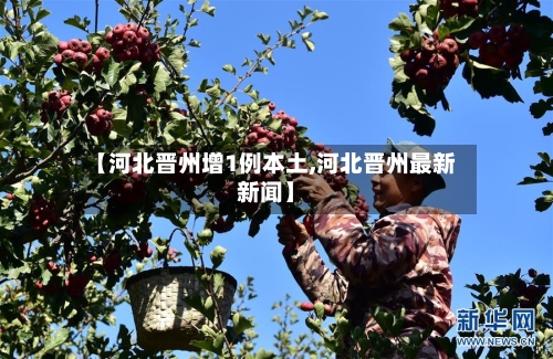 【河北晋州增1例本土,河北晋州最新新闻】