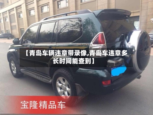 【青岛车辆违章带录像,青岛车违章多长时间能查到】-第3张图片
