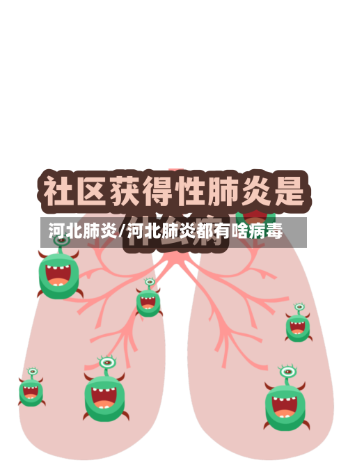 河北肺炎/河北肺炎都有啥病毒