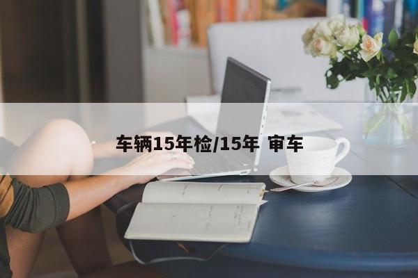车辆15年检/15年 审车