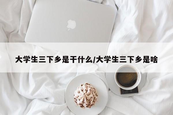 大学生三下乡是干什么/大学生三下乡是啥