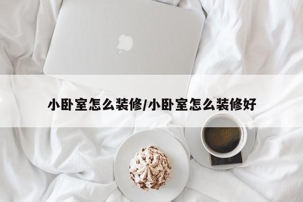 小卧室怎么装修/小卧室怎么装修好