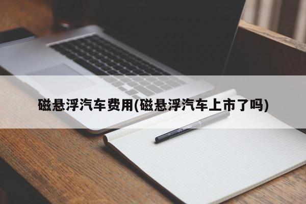 磁悬浮汽车费用(磁悬浮汽车上市了吗)